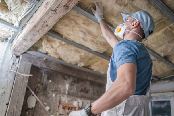Best Geographic-Specific Insulation Services in Crown Pot, IN