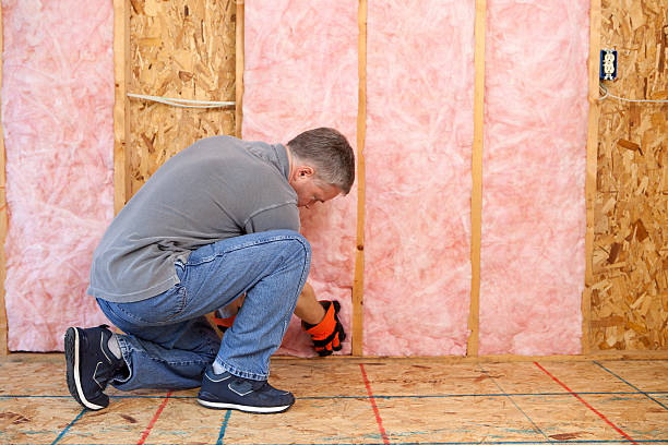 Best Energy Efficiency Insulation in Crown Pot, IN