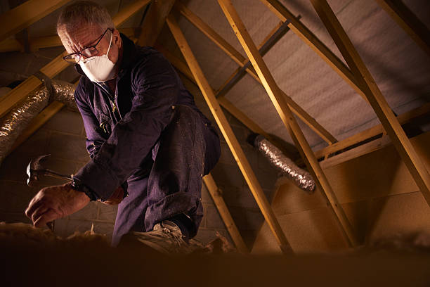Types of Insulation We Offer in Crown Point, IN